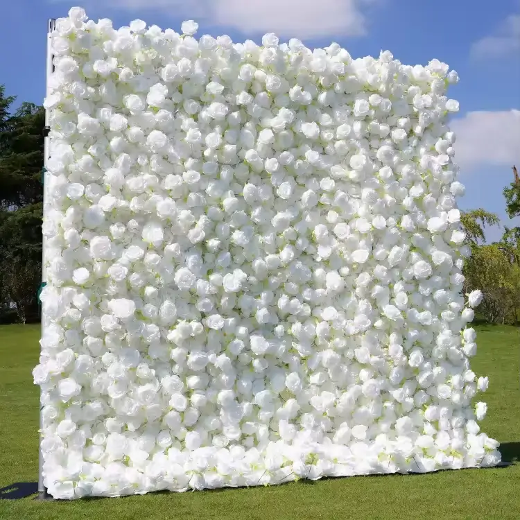 white rose photo wall